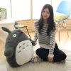 30cm Kawaii Totoro Plush Toys Stuffed Soft Animal Cartoon Dolls Cats With Lotus Leaf or Teeth 2 - Totoro Merchandise