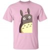 redirect12102021051240 4 - Totoro Merchandise